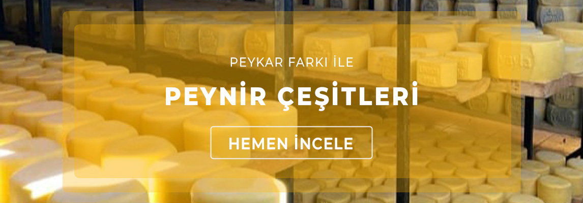 Peynir Çeşitleri